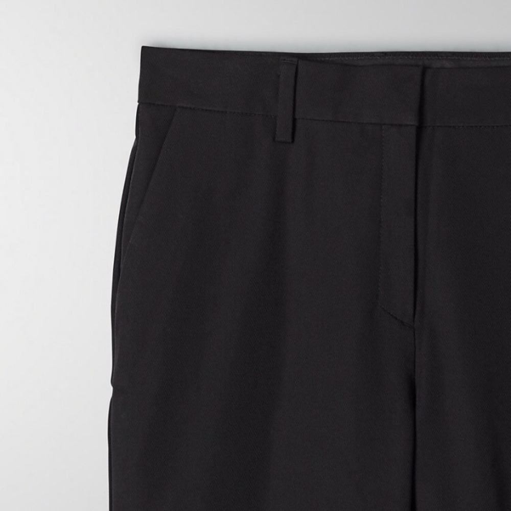 Aritzia Pant